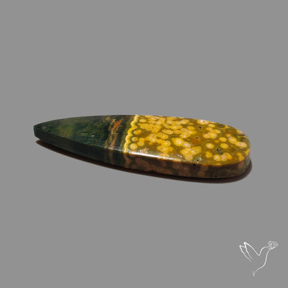 Orbicular Ocean Jasper Cabochon