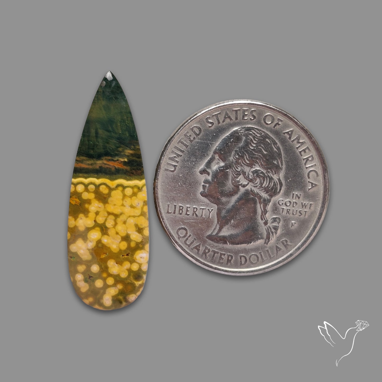 Orbicular Ocean Jasper Cabochon