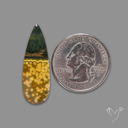 Orbicular Ocean Jasper Cabochon