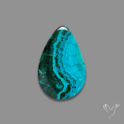 Chrysocolla In Malachite Cabochon