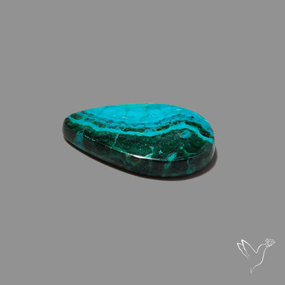Chrysocolla In Malachite Cabochon