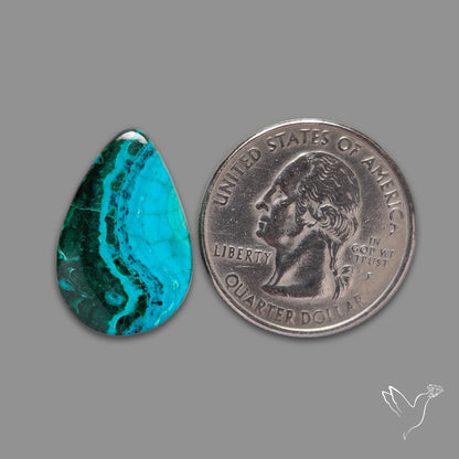 Chrysocolla In Malachite Cabochon