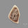 Imperial Jasper Slice