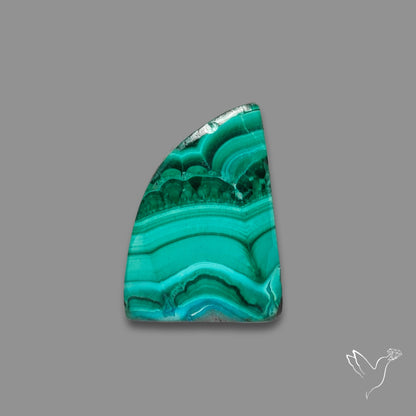 Chrysocolla In Malachite Cabochon