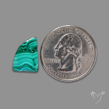 Chrysocolla In Malachite Cabochon