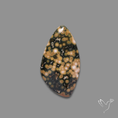 Orbicular Ocean Jasper Cabochon