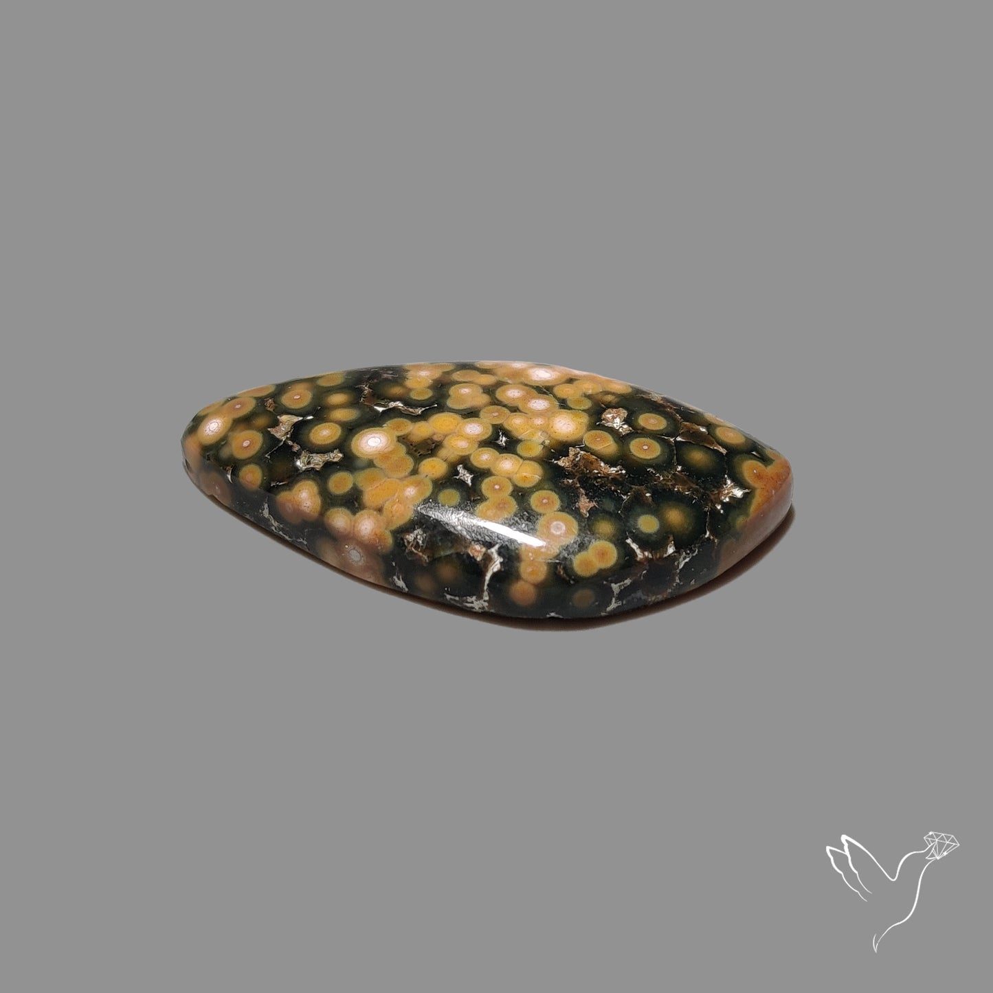 Orbicular Ocean Jasper Cabochon
