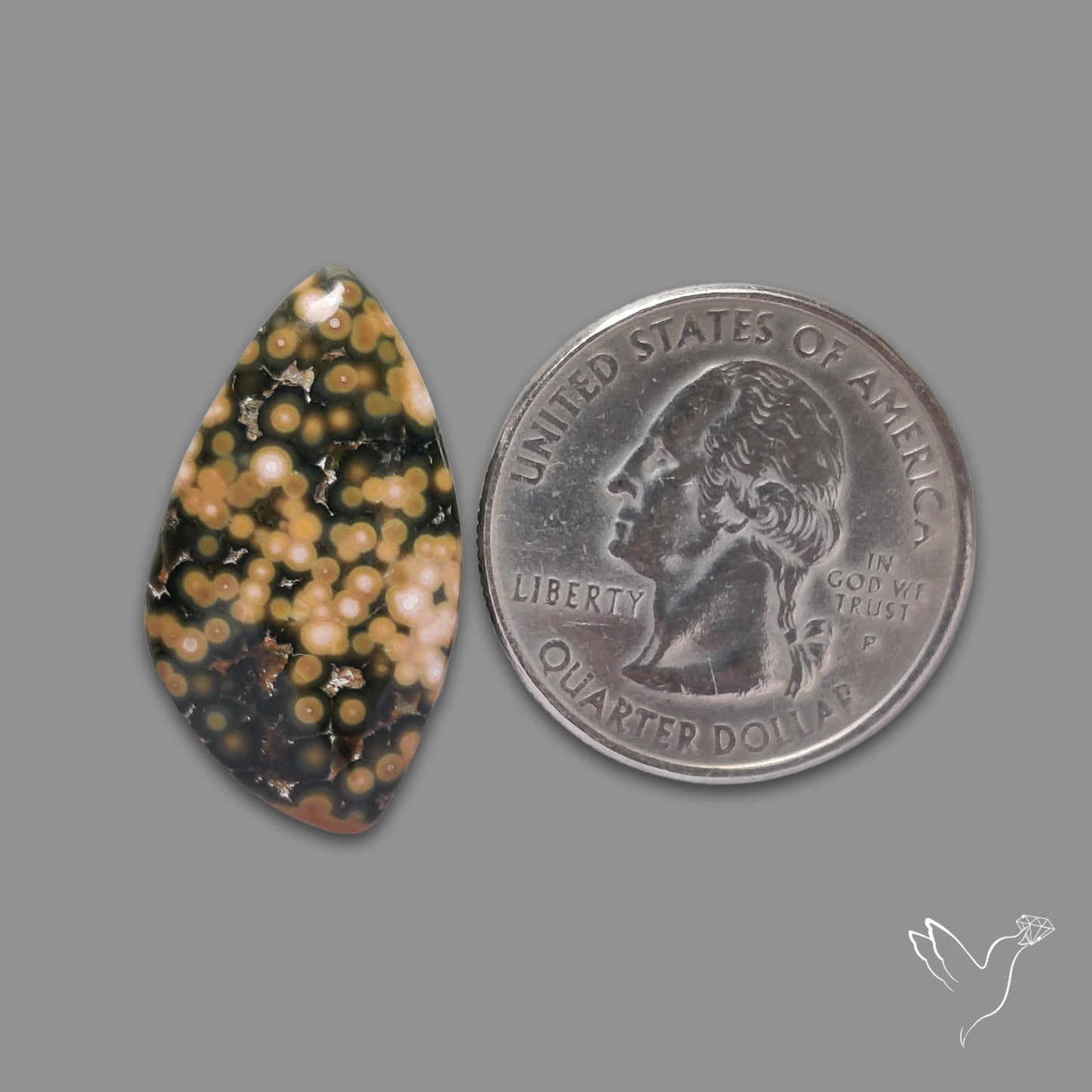 Orbicular Ocean Jasper Cabochon