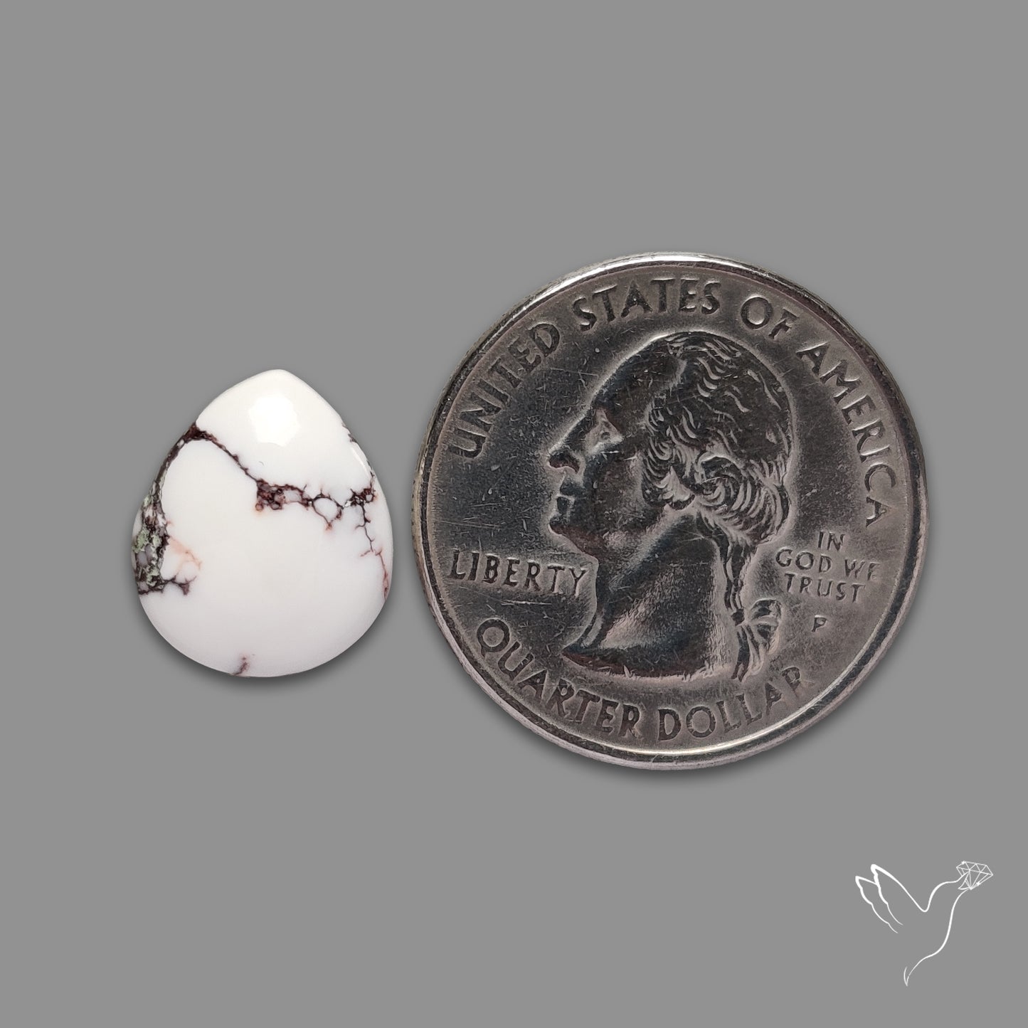 Wild Horse Jasper Cabochon