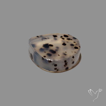 Montana Moss Agate Cabochon