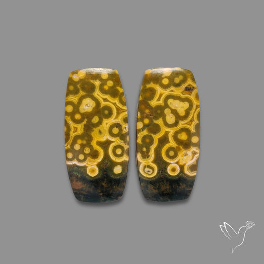 Orbicular Ocean Jasper Cabochon