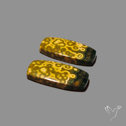 Orbicular Ocean Jasper Cabochon