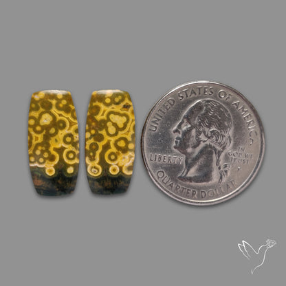 Orbicular Ocean Jasper Cabochon