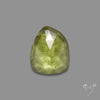 Rose Cut Peridot