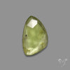 Rose Cut Peridot