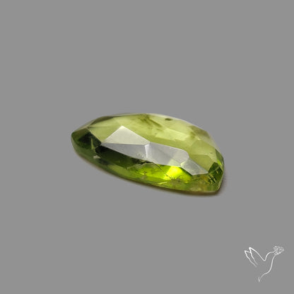 Rose Cut Peridot