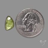 Rose Cut Peridot