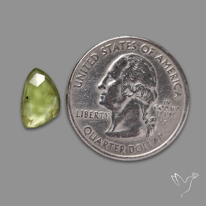 Rose Cut Peridot