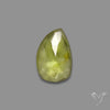 Rose Cut Peridot