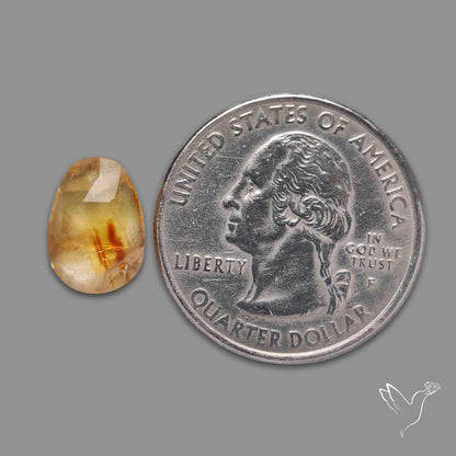 Rose Cut Trapiche Citrine
