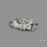 Rose Cut Dot Rutilated Quartz