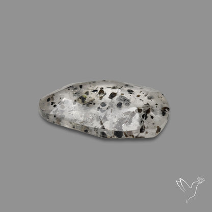Rose Cut Dot Rutilated Quartz