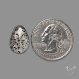 Rose Cut Dot Rutilated Quartz