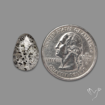 Rose Cut Dot Rutilated Quartz