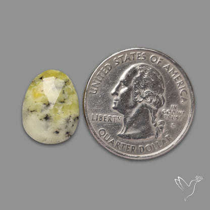 Rose Cut Yellow Dendritic Opal
