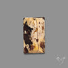 Pyramid Cut Peanutwood Jasper