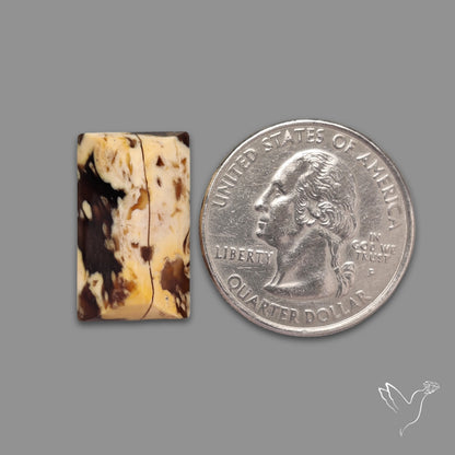 Pyramid Cut Peanutwood Jasper