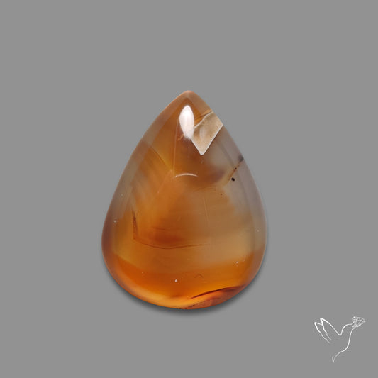 Montana Agate Cabochon