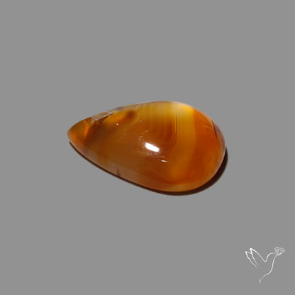 Montana Agate Cabochon