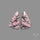 Pink Rhodonites Pair