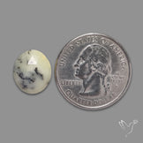 Rose Cut Dendritic Opal