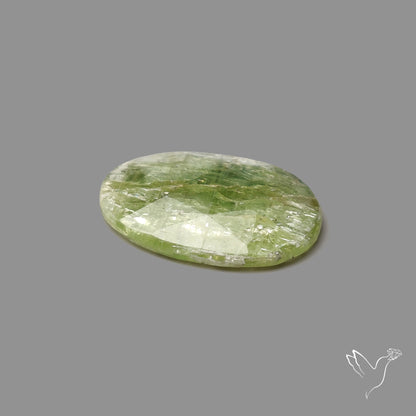 Rose Cut Mint Green Kyanite
