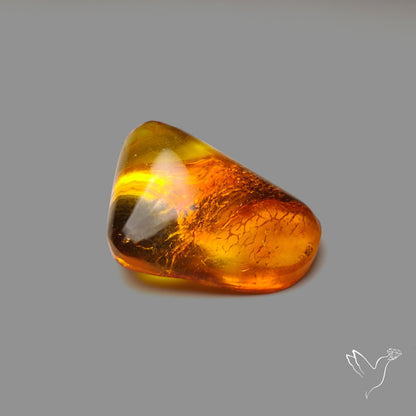 Mexican Amber Freeform