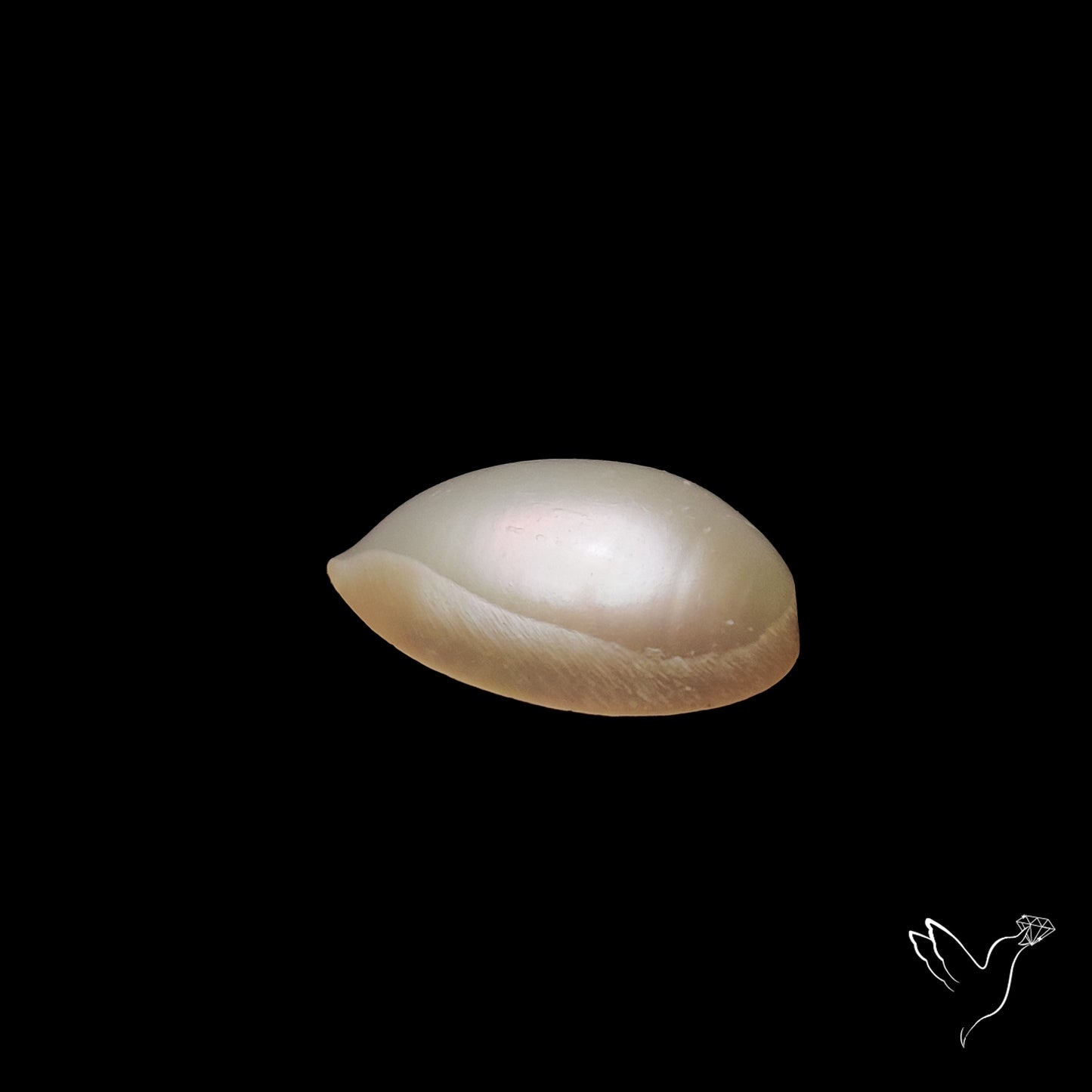 Freshwater Pearl Cabochon