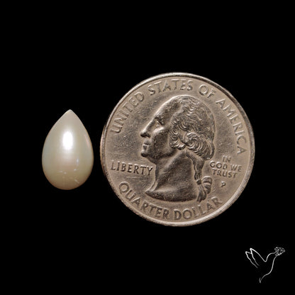 Freshwater Pearl Cabochon