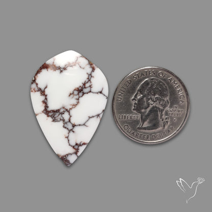 Wild Horse Magnesite Cabochon