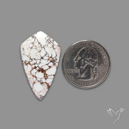 Wild Horse Magnesite Cabochon