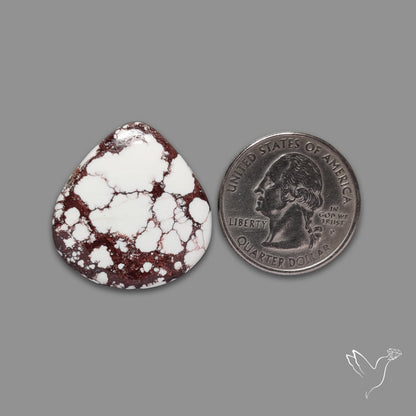 Wild Horse Magnesite Cabochon