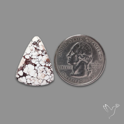 Wild Horse Magnesite Cabochon