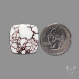 Wild Horse Magnesite Cabochon