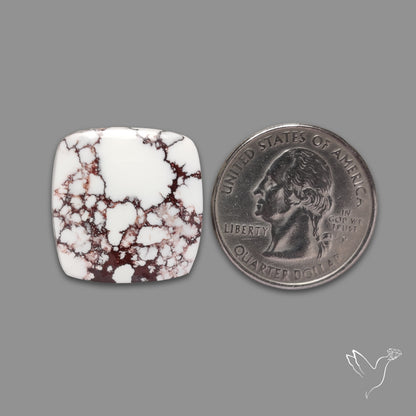 Wild Horse Magnesite Cabochon