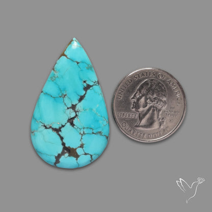 Rare Large Number 8 Mines Turquoise Cabochon