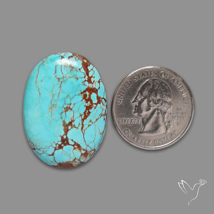 Rare Large Number 8 Mines Turquoise Cabochon