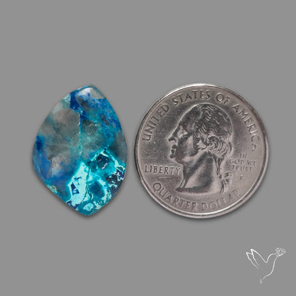 Quantum Quattro Gem Silica Shattuckite Cabochon