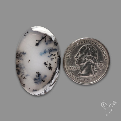 Dendritic Agate Cabochon