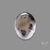 Dendritic Agate Cabochon